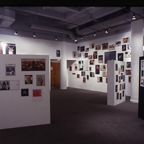 Photographic Materials depicts: artworks installed in gallery