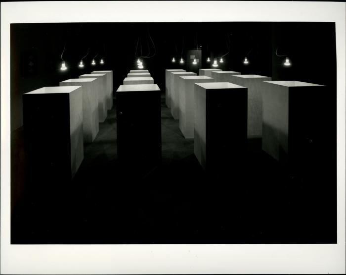 Photographic Materials depicts: artworks installed in a gallery