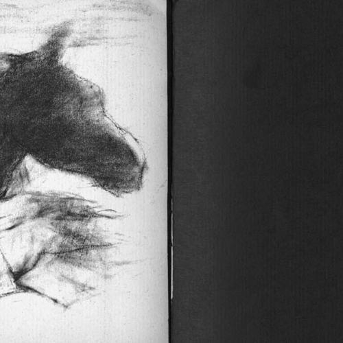 Exhibition Catalogues depicts: Left half is a drawing of figure riding a horse, right half a black page with "from 8 to 10 p.m." in white type