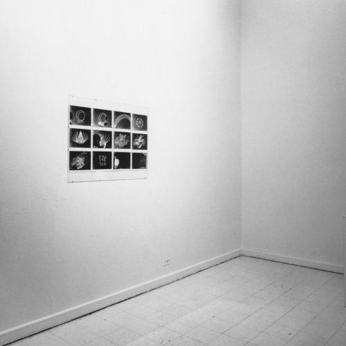 Photographic Materials depicts: Installation view
