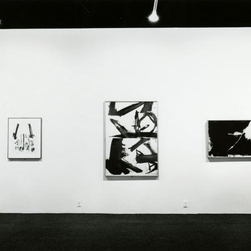 Photographic Materials depicts: artworks installed in a gallery