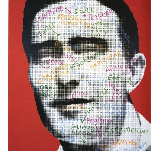 Portfolios depicts: black and white photograph of mid-20th-century man's face, the parts of which are labeled in different colors