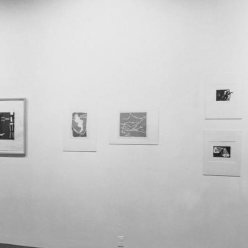 Photographic Materials depicts: Installation view