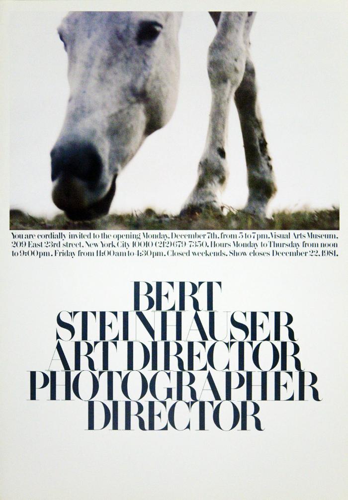 Posters depicts: White horse's face in close-up