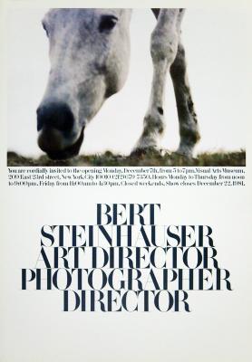 Posters depicts: White horse's face in close-up