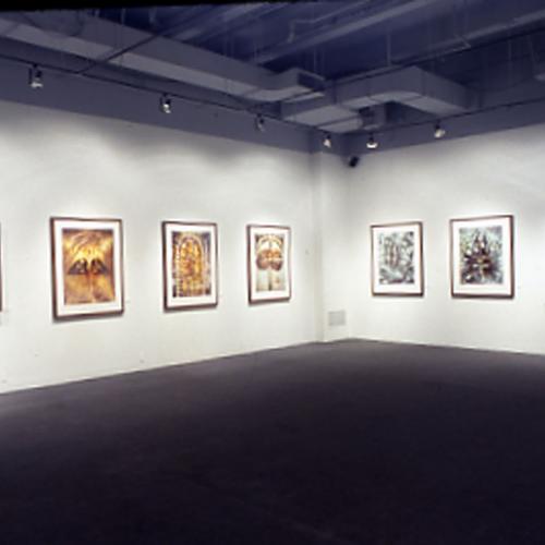 Photographic Materials depicts: artworks installed in gallery