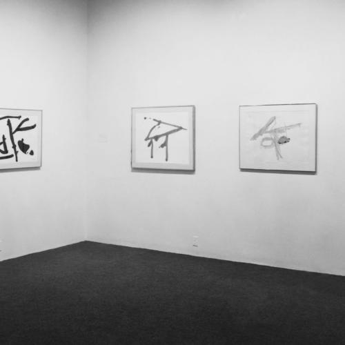 Photographic Materials depicts: Installation view
