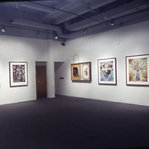 Photographic Materials depicts: artworks installed in gallery