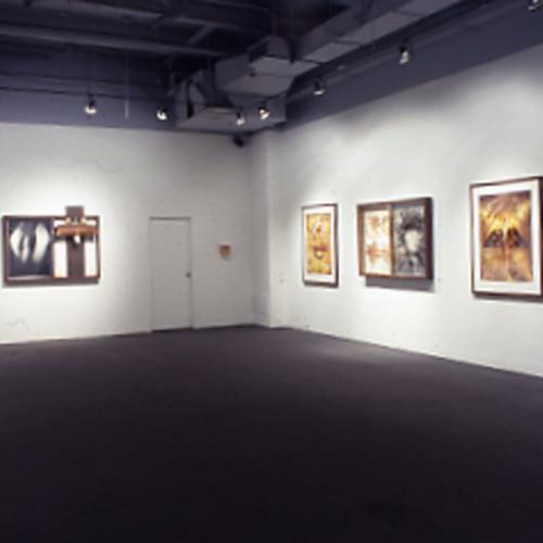 Photographic Materials depicts: artworks installed in gallery