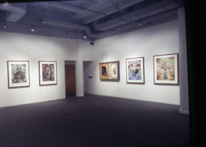 Photographic Materials depicts: artworks installed in gallery