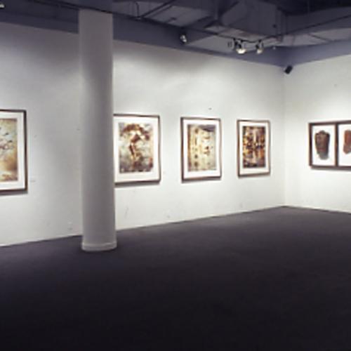 Photographic Materials depicts: artworks installed in gallery