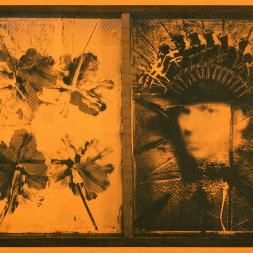Announcements and invitations depicts: Hans Neleman artwork