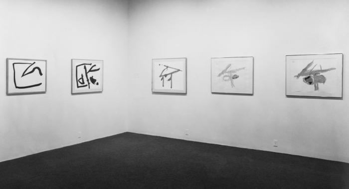 Photographic Materials depicts: Installation view