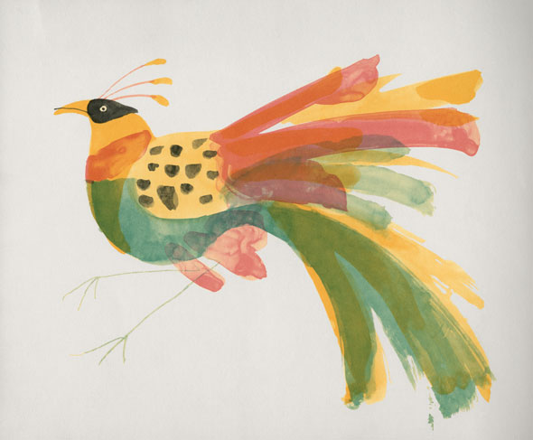 Painting of a bird with colorful plumage against a white background