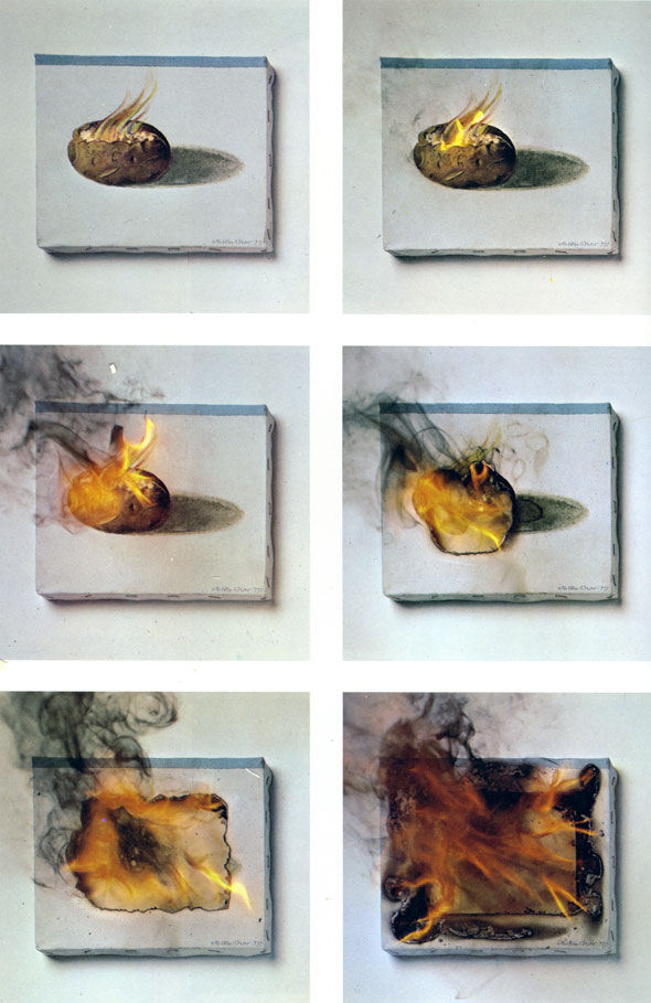 Six panels of color photography showing the progression of a painting of a potato being set on fire and burning