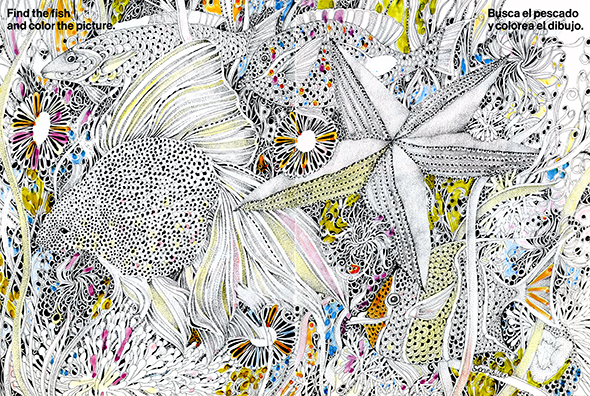 Detailed black and white illustration with some watercolor of four fish and one starfish.