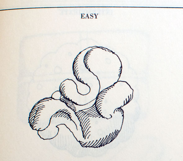 Black and white ink drawing of a dumpling in an amorphous, curly shape.